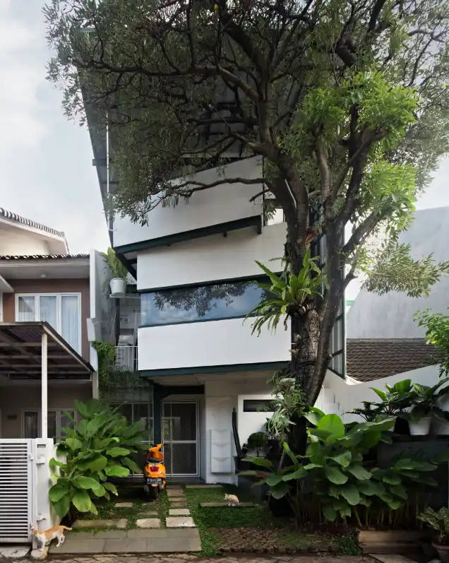 Konsep Desain Rumah Tumbuh